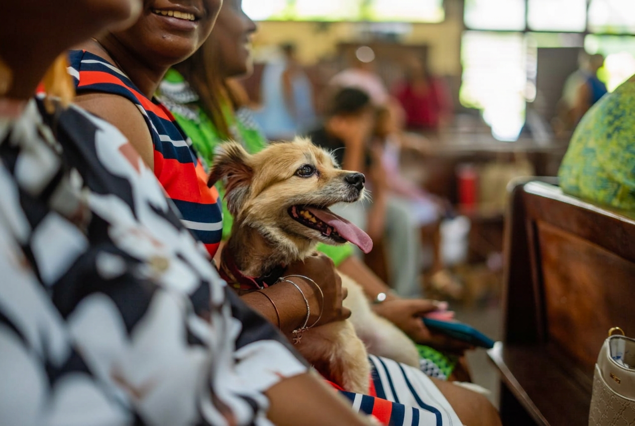 A dog attending the JVMA 80th anniversary church service